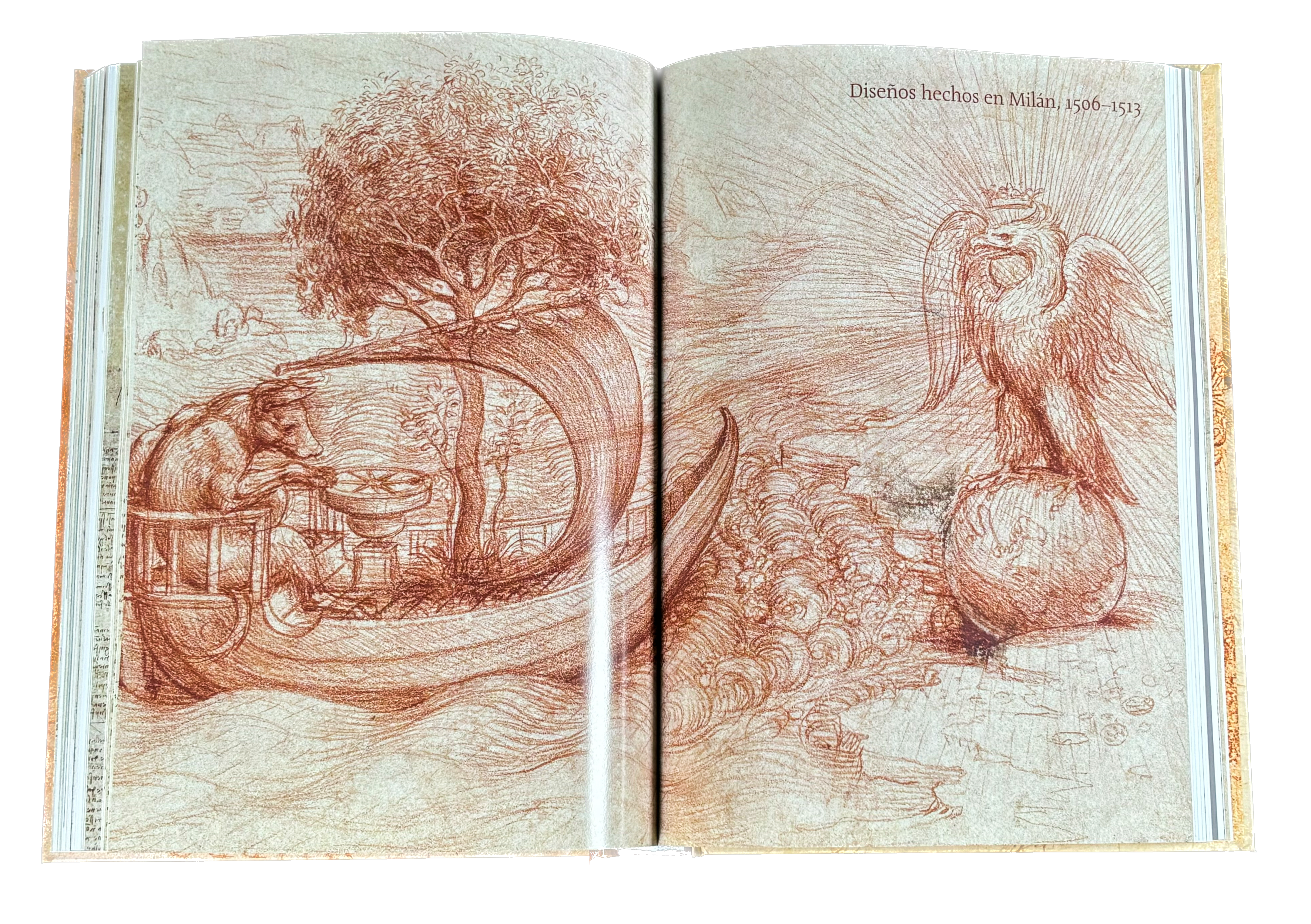 11 Leonardo da Vinci. Vida en Dibujos